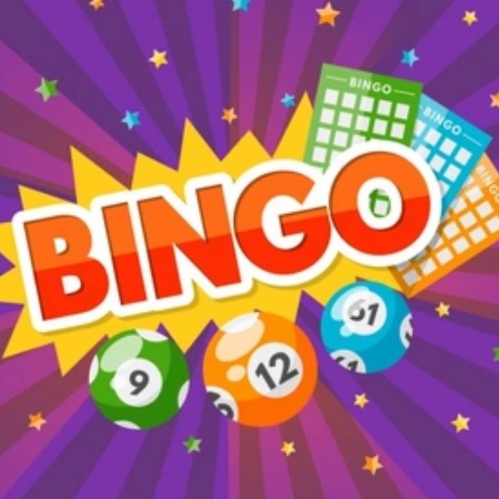 bingo | Ecuaplay